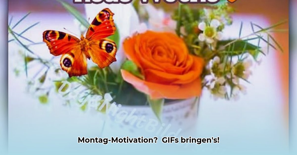 guten-morgen-montag-gif